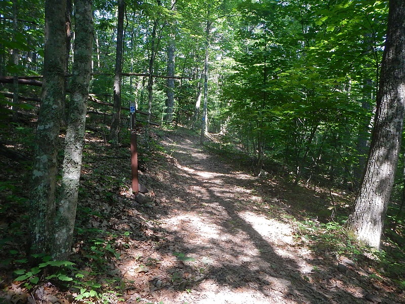 Jefferson National Forest Wolf Creek Day Use Area
