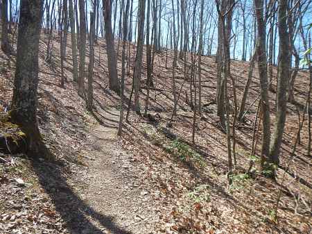 pandapas pond poverty creek trail system 