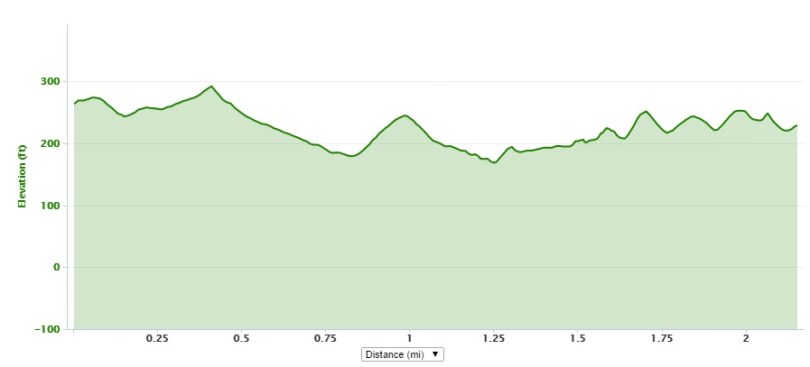 2014 DC Ragnar Relay