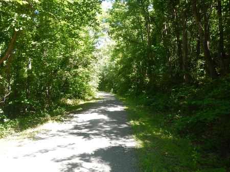 New River State Park Trail