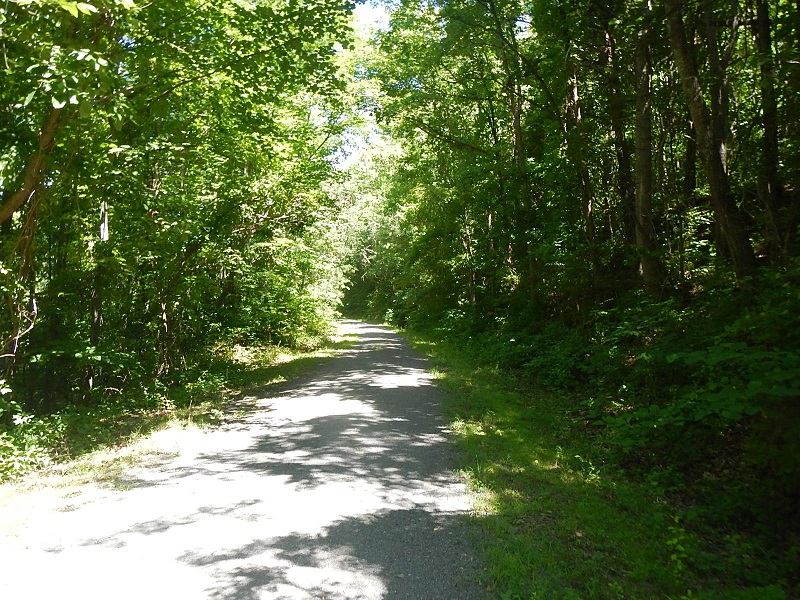 New River State Park Trail