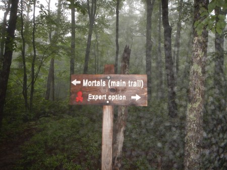 I bet you can guess which way we turned for the climb.