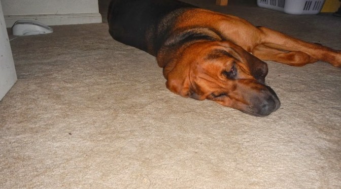 Columbus Day- bonus weekend day!