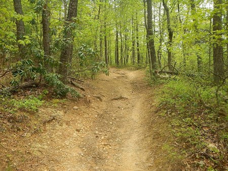 Horse Nettle Trail Pandapas Pond Poverty Creek Trail System