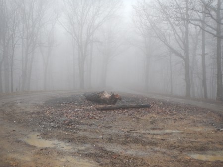 Pandapas Pond Poverty Creek Trail System Jefferson National Forest