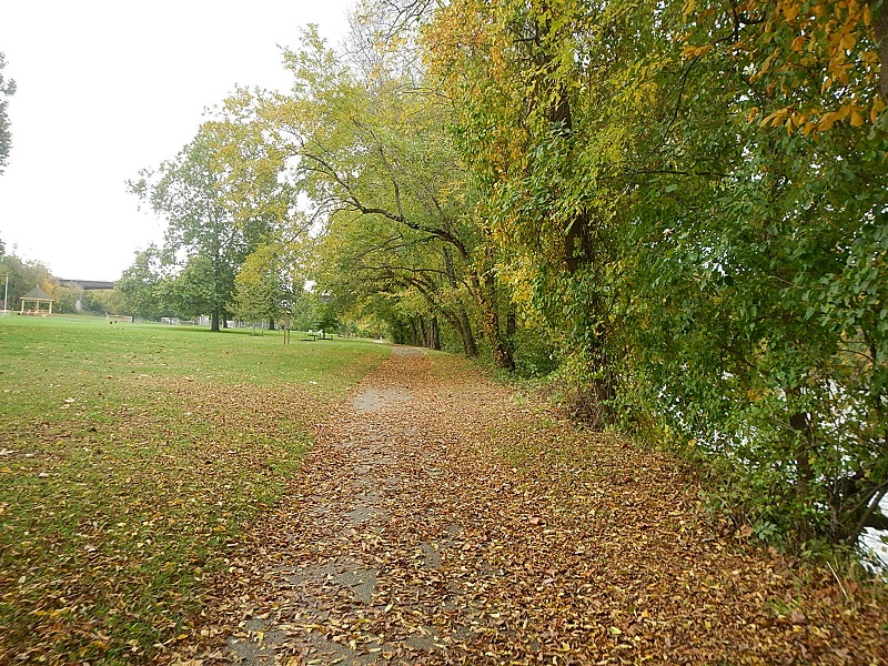 Bisset Park Radford