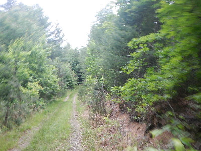 Draper Mountain Bike Trails