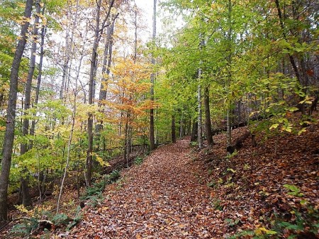 Hungry Mother State Park Lake Loop Trail