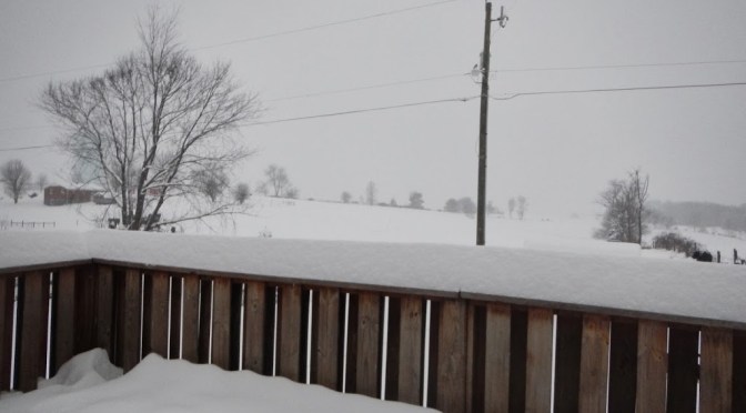 Snow! And lots of it.