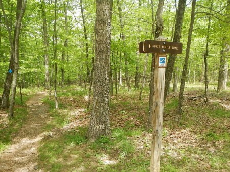Horse Nettle Trail Poverty Creek Trail System Pandapas Pond