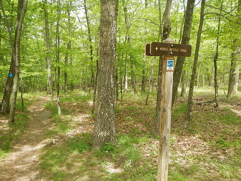 Horse Nettle Trail Poverty Creek Trail System Pandapas Pond