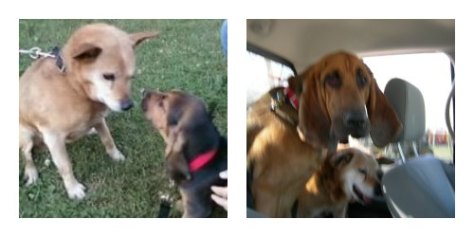 PicMonkey CollageHankBday7