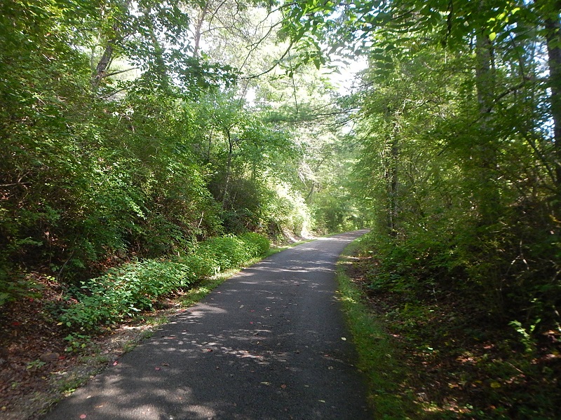 Huckleberry Trail