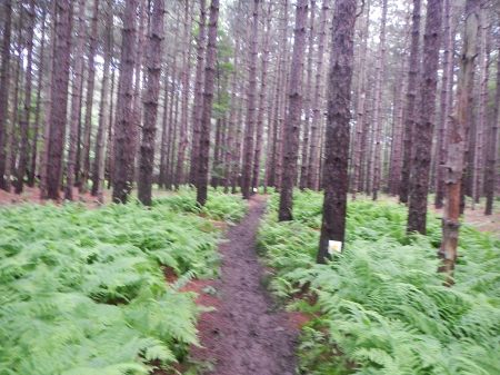 Ragnar Trail Appalachians Ragnar Relay Trails WV