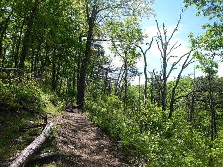Snake Root Trail Poverty Creek Trail System Pandapas Pond