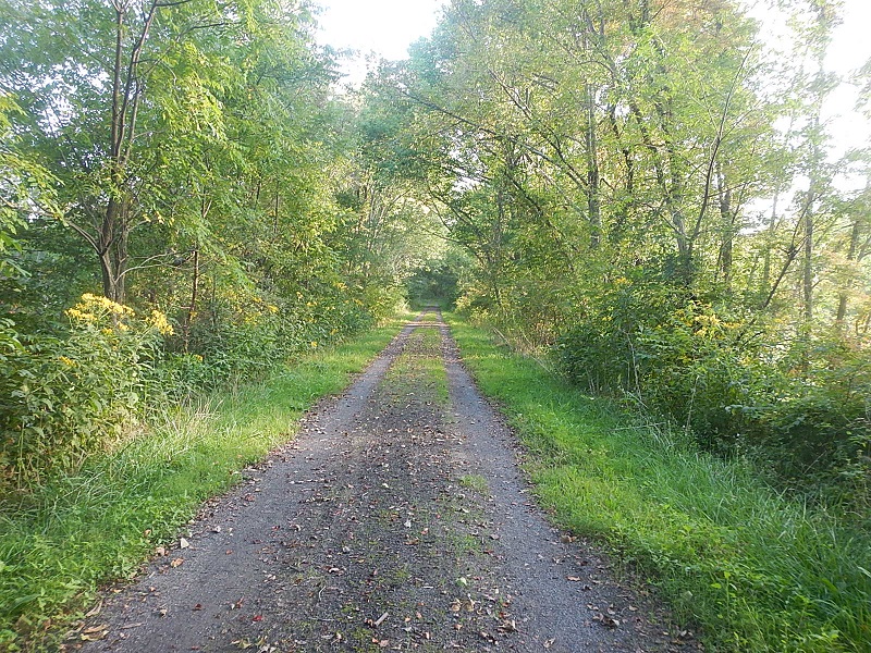 New River State Park Trail