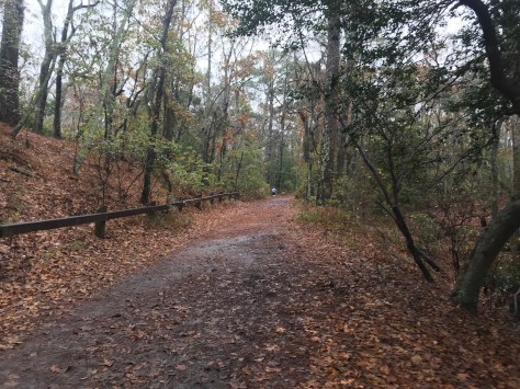 Seashore Nature Trail 50K Seashore 50K