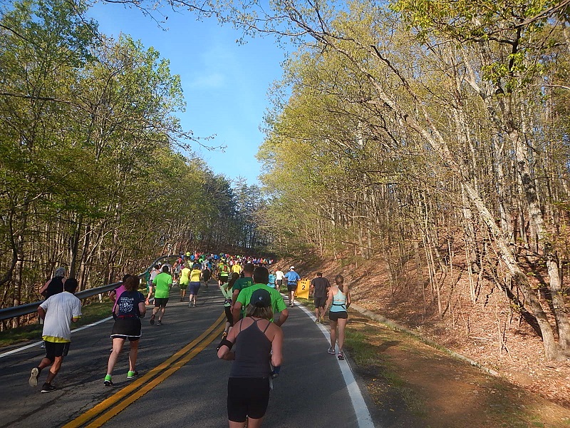 2014 Blue Ridge Half Marathon