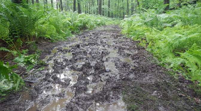 Ragnar Trail Appalachians Ragnar Relay Trails WV