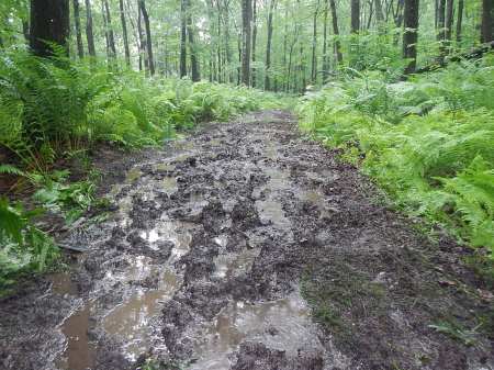 Ragnar Trail Appalachians Ragnar Relay Trails WV