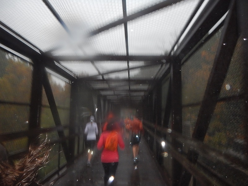 2014 Hokie Half Marathon