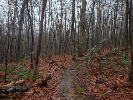 Montvale 5 Miler trail race