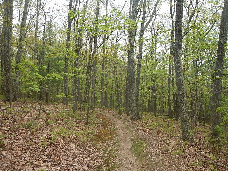 Poverty Creek Trail System Pandapas Pond