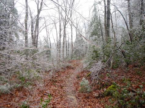 mountain trail running