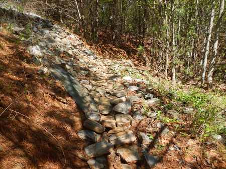 Trail Nut Half Marathon Mountain Junkies RNUTS