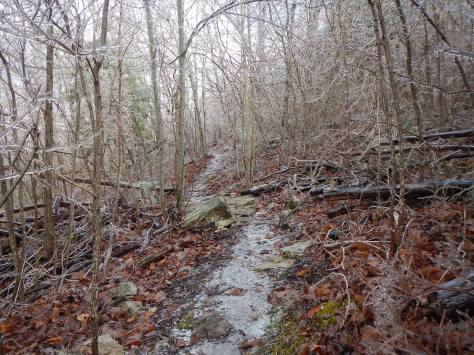 mountain trail running