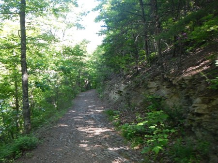 Hungry Mother State Park Trails
