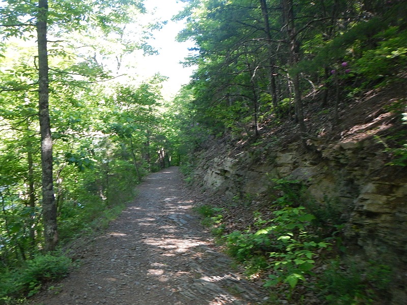 Hungry Mother State Park Trails