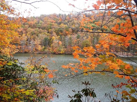 Hungry Mother State Park Lake Loop Trail