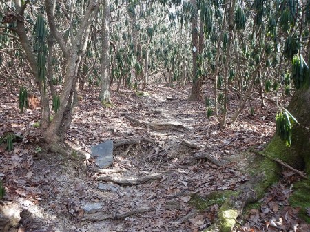 Joe Pye Trail Poverty Creek Trail System Pandapas Pond