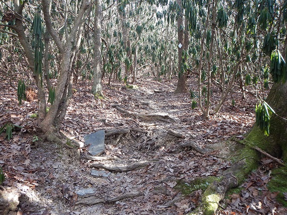 Joe Pye Trail Poverty Creek Trail System Pandapas Pond