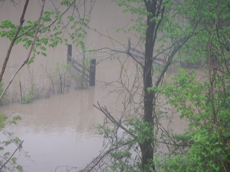 Flooding in Farmville