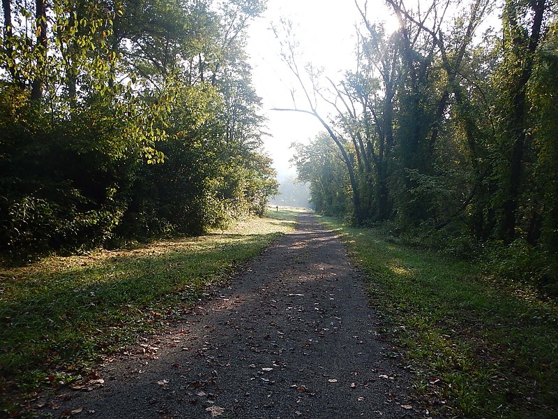 Dora Trail