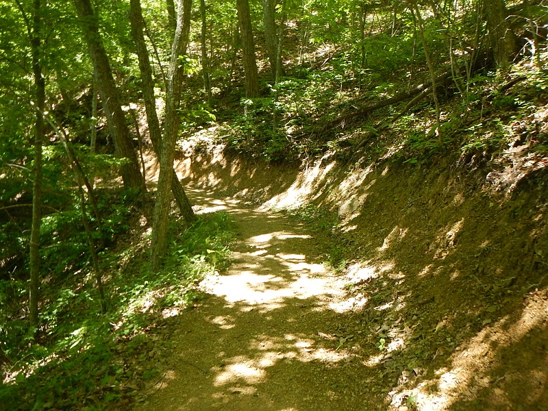 Hungry Mother State Park Trails