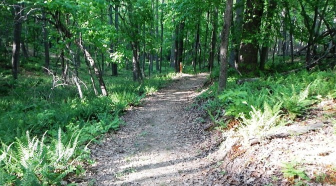 Weekly Workout Roundup – May 12 – 18