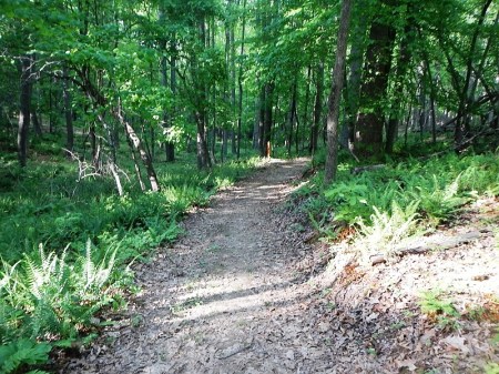 Claytor Lake State Park Poplar Leaf Trail