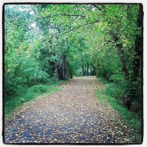 paved running trail