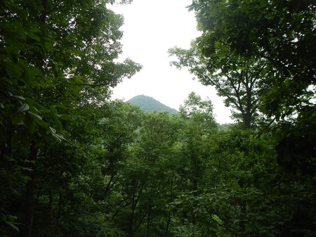 Hungry Mother State Park Trails