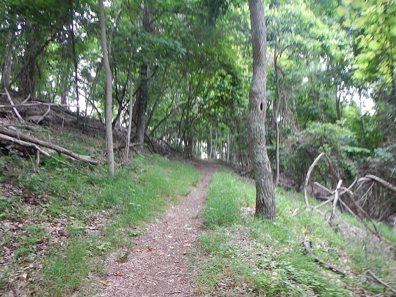 Hungry Mother State Park Trails