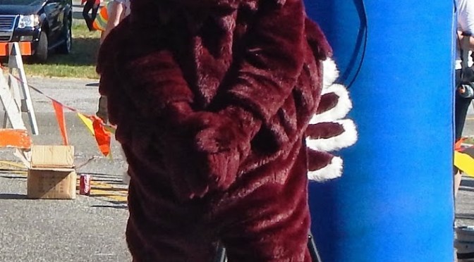 Let’s put it to a vote!