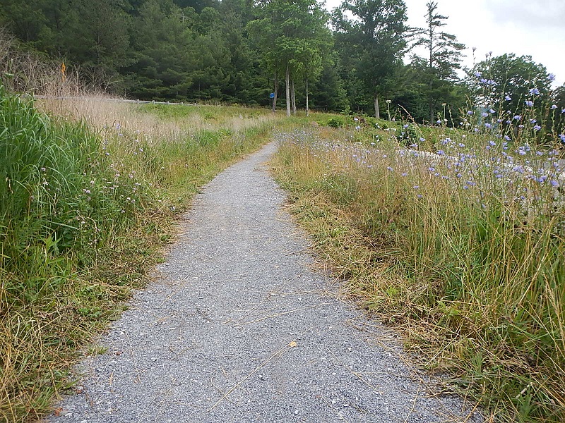 Hungry Mother State Park Trails