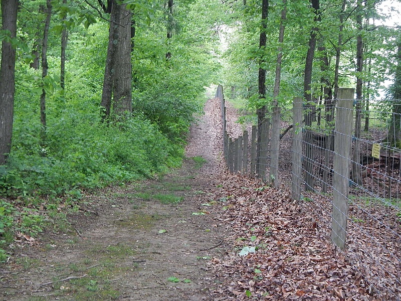 Randolph Park