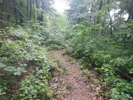 Daper Mountain Bike Trails