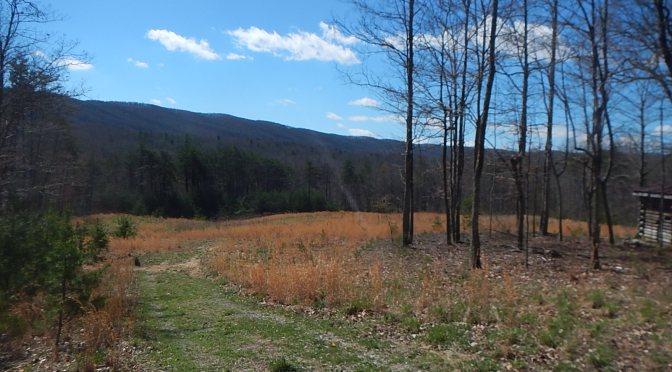 TNF ECS 50K Training – Week 14