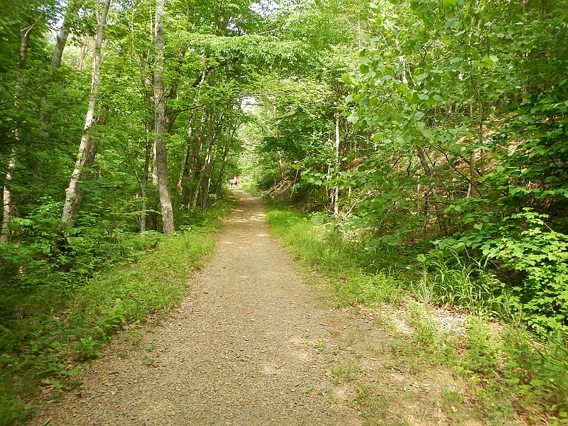 Conquer the Cove 25K