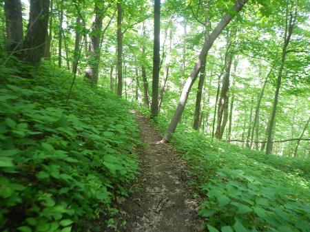 Appalachian Trail Angels Rest 